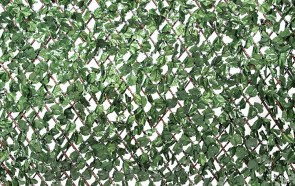 Φυλλωσιά σκούρο πράσινο με ξύλινο πτυσσόμενο πλέγμα