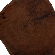 67584 ΤΡΑΠΕΖΙ ΣΑΛΟΝΙΟΥ CLAUDINE ΑΠΟ ΜΑΣΙΦ ΚΟΡΜΟ ΑΚΑΚΙΑΣ ΠΑΧΟΥΣ 10εκ. HM8779.11 60x60x40Υεκ.