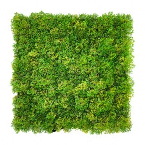 np-0b4dd35ca6a8435291e52b983d1bb952 ΠΑΝΕΛ ΦΥΛΛΩΣΙΑΣ MOSS 50 Χ 50 A509 NEWPLAN