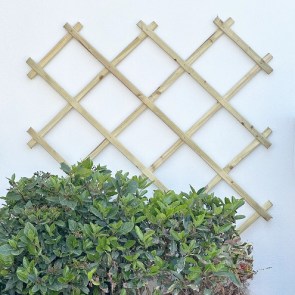 shw-00100-21925 ΠΕΡΓΚΟΛΑ ΤΟΙΧΟΥ 100 X 200 ΕΚ.