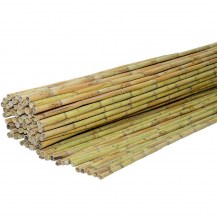 shw-100300-24193 ΚΑΛΑΜΩΤΗ ΑΠΟ ΔΙΕΤΕΣ ΚΑΛΑΜΙ Ø20-25MM 100 X 300ΕΚ.