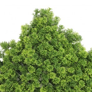 shw-18004-19293 ΦΥΛΛΩΣΙΑ PREMIUM ΓΙΑ ΕΠΕΝΔΥΣΗ ΤΟΙΧΟΥ 50 X 50ΕΚ.- ΧΛΟΗ