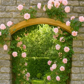 shw-187070-22979 ΑΨΙΔΑ ΞΥΛΟΥ 4,5X7X187 ΕΚ.