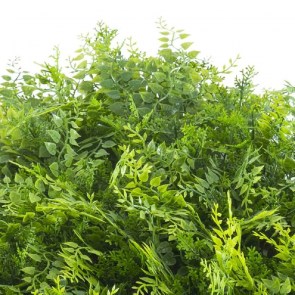 shw-188009-13539 ΦΥΛΛΩΣΙΑ PREMIUM ΓΙΑ ΕΠΕΝΔΥΣΗ ΤΟΙΧΟΥ 50 X 50ΕΚ.| ΦΤΕΡΗ