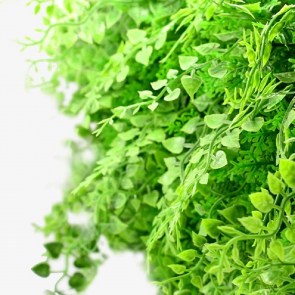 shw-188009-13550 ΦΥΛΛΩΣΙΑ PREMIUM ΓΙΑ ΕΠΕΝΔΥΣΗ ΤΟΙΧΟΥ 50 X 50ΕΚ.| ΦΤΕΡΗ