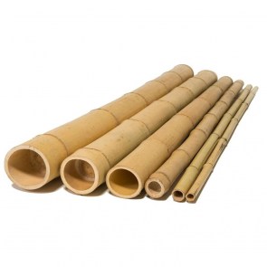 shw-21434-19892 ΚΑΛΑΜΙ BAMBOO Ø8-10 X 300ΕΚ.