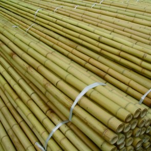 shw-21436-19900 ΚΑΛΑΜΙ BAMBOO Ø4-6 X 300ΕΚ.