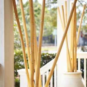 shw-21437-19898 ΚΑΛΑΜΙ BAMBOO Ø3-3,5 X 300ΕΚ.