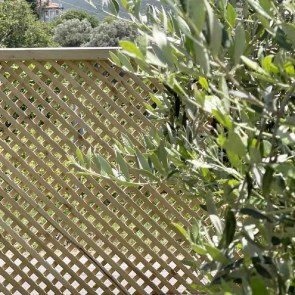 shw-21833-14751 ΚΑΦΑΣΩΤΟ ΔΙΑΜΑΝΤΙ 2 X 2 ΚΑΦΑΣΩΤΟ ΔΙΑΜΑΝΤΙ (2X2) 120 X 180ΕΚ.