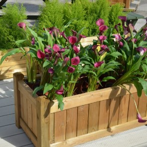 shw-30058-21471 ΞΥΛΙΝΗ ΓΛΑΣΤΡΑ ΓΡΑΝΑΔΑ  45(Υ) X 50 X 100ΕΚ.