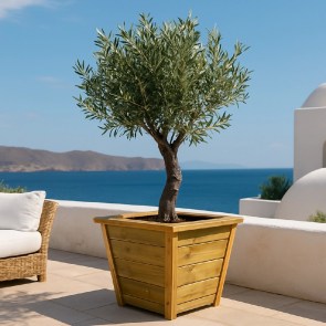 shw-30059-20277 ΞΥΛΙΝΗ ΓΛΑΣΤΡΑ ΒΕΡΝΗ 45ΕΚ.