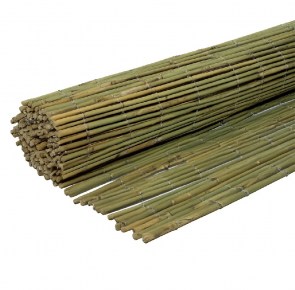 shw-30255-24172 ΚΑΛΑΜΩΤΗ ΜΠΑΜΠΟΥ ΜΑΣΙΦ Ø7-12MM 150 X 300ΕΚ.
