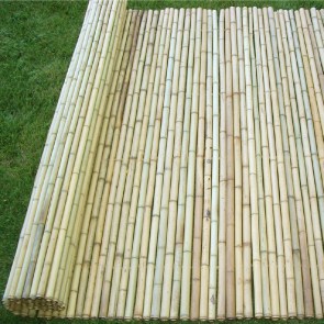 shw-30400-24270 ΚΑΛΑΜΩΤΗ ΚΙΤΡΙΝΟ BAMBOO Ø25-30MM ΜΕ INOX ΣΥΡΜΑ 100 X 250ΕΚ.