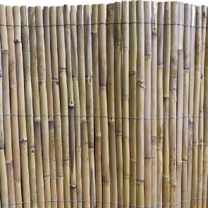 shw-31259-21524 ΚΑΛΑΜΩΤΗ ΑΠΟ ΜΙΣΟ ΚΑΛΑΜΙ – ΔΙΕΤΟΥΣ ΑΝΑΠΤΥΞΗΣ 100 X 500 ΕΚ.