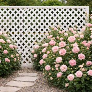 shw-33041-23516 ΚΑΦΑΣΩΤΟ ΣΥΝΘΕΤΙΚΟ PRIVACY DIAMOND 240 × 120 ΕΚ. | ΛΕΥΚΟ