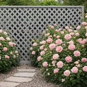 shw-33051-23514 ΚΑΦΑΣΩΤΟ ΣΥΝΘΕΤΙΚΟ PRIVACY DIAMOND 240 × 120 ΕΚ. | ΓΚΡΙ